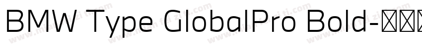 BMW Type GlobalPro Bold字体转换